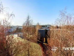 Pronájem bytu 2+kk, Olomouc, Dlouhá, 59 m2
