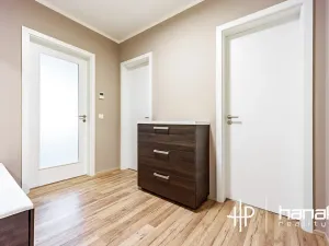 Pronájem bytu 2+kk, Olomouc, Dlouhá, 59 m2