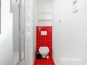 Pronájem bytu 1+kk, Praha - Malá Strana, Petřínská, 37 m2
