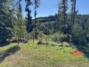 Prodej chaty, Sedlice, 261 m2