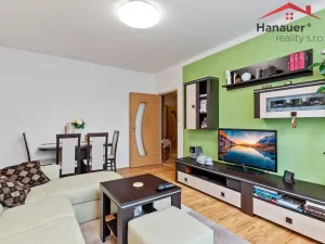 Prodej bytu 2+1, Cheb, Družstevní, 51 m2