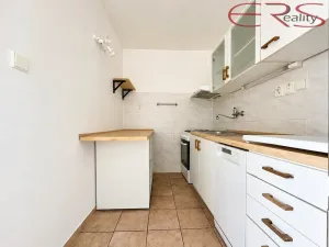 Prodej bytu 2+kk, Praha - Karlín, Nekvasilova, 40 m2