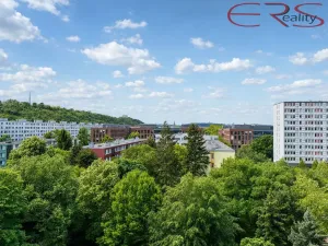 Prodej bytu 2+kk, Praha - Karlín, Nekvasilova, 40 m2