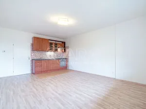 Pronájem bytu 1+kk, Holubice - Kozinec, Buková, 40 m2