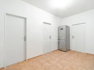 Pronájem bytu 1+kk, Holubice - Kozinec, Buková, 40 m2