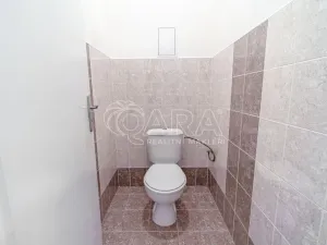 Pronájem bytu 1+kk, Holubice - Kozinec, Buková, 40 m2