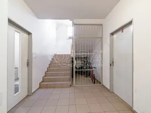 Pronájem bytu 1+kk, Holubice - Kozinec, Buková, 40 m2