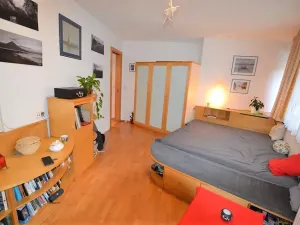 Pronájem bytu 1+kk, Praha - Podolí, Brabcova, 43 m2