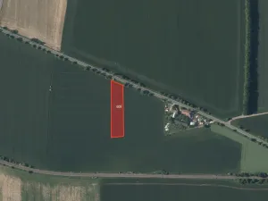 Prodej pole, Červený Újezd, 5781 m2