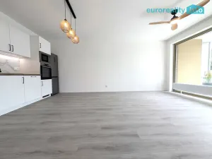 Pronájem bytu 2+kk, Plzeň, Zahradní, 70 m2