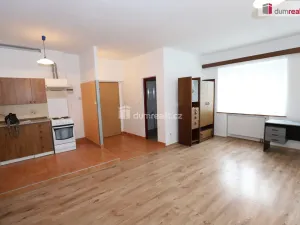 Pronájem bytu 1+kk, Karlovy Vary - Počerny, 58 m2