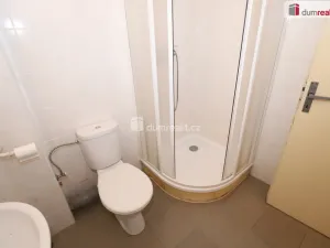 Pronájem bytu 1+kk, Karlovy Vary - Počerny, 58 m2