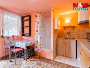 Prodej chaty, Týn nad Vltavou, Račina, 32 m2