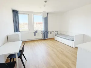 Pronájem bytu 1+kk, Praha, Perucká, 30 m2