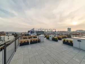 Pronájem bytu 1+kk, Praha, Perucká, 30 m2