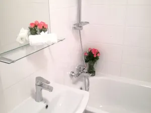Prodej bytu 2+kk, Ostrava - Moravská Ostrava, Zelená, 45 m2
