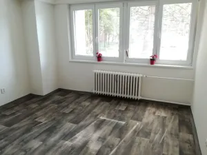 Prodej bytu 2+kk, Ostrava - Moravská Ostrava, Zelená, 45 m2