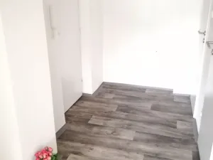 Prodej bytu 2+kk, Ostrava - Moravská Ostrava, Zelená, 45 m2
