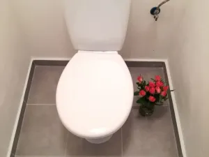 Prodej bytu 2+kk, Ostrava - Moravská Ostrava, Zelená, 45 m2