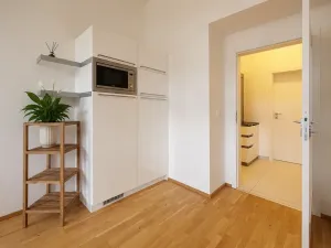 Pronájem bytu 2+kk, Praha - Žižkov, Žižkovo náměstí, 59 m2