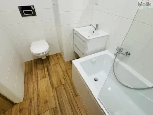 Pronájem bytu 2+1, Most, Maxe Švabinského, 53 m2