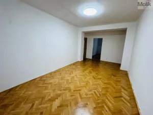 Pronájem bytu 2+1, Most, Maxe Švabinského, 53 m2