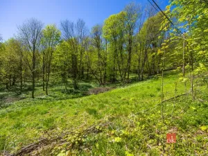 Prodej pozemku pro bydlení, Dolní Morava - Horní Morava, 1045 m2