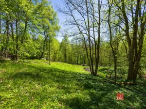 Prodej pozemku pro bydlení, Dolní Morava - Horní Morava, 1045 m2