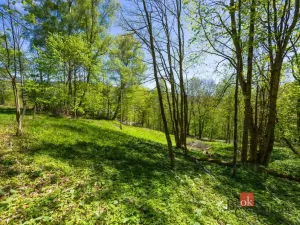 Prodej pozemku pro bydlení, Dolní Morava - Horní Morava, 1045 m2