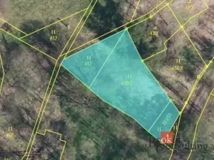 Prodej pozemku pro bydlení, Dolní Morava - Horní Morava, 1045 m2
