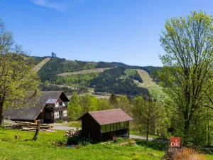 Prodej pozemku pro bydlení, Dolní Morava - Horní Morava, 1045 m2