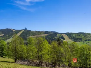 Prodej pozemku pro bydlení, Dolní Morava - Horní Morava, 1045 m2