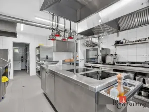 Prodej ubytování, Želnava, 1110 m2