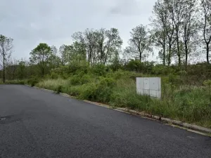 Prodej pozemku pro bydlení, Čepí, 931 m2