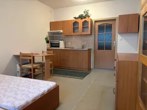 Pronájem bytu 1+kk, Zlín, Javorová, 30 m2