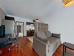 Pronájem bytu 1+kk, Praha - Žižkov, Olšanská, 36 m2