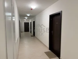 Pronájem bytu 1+kk, Praha - Žižkov, Olšanská, 36 m2