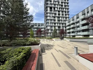 Pronájem bytu 1+kk, Praha - Žižkov, Olšanská, 36 m2