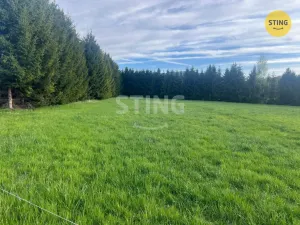 Prodej louky, Raškovice, 8800 m2