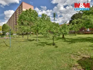 Pronájem bytu 2+kk, Hradec Králové - Pražské Předměstí, Na Rybárně, 45 m2