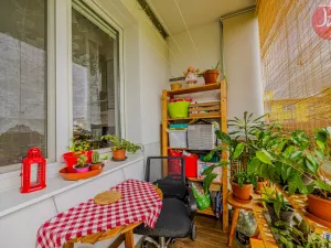 Prodej bytu 2+1, Ostrava, Čkalovova, 52 m2