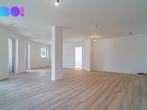 Pronájem bytu 4+kk, Prostějov, Mlýnská, 120 m2