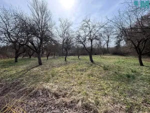 Prodej rodinného domu, Slavíkovice, 133 m2