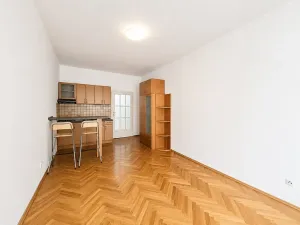 Pronájem bytu 1+kk, Praha - Žižkov, Biskupcova, 30 m2