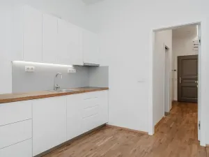 Pronájem bytu 1+1, Praha - Žižkov, Řehořova, 32 m2