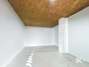 Prodej rodinného domu, Třebnouševes, 205 m2