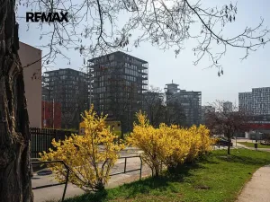 Pronájem bytu 5+kk, Praha - Žižkov, Pitterova, 254 m2