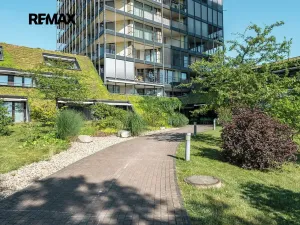 Pronájem bytu 5+kk, Praha - Žižkov, Pitterova, 254 m2