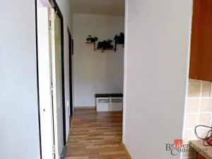 Prodej bytu 2+1, Bílina - Teplické Předměstí, M. Švabinského, 54 m2