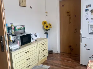 Prodej rodinného domu, Chabařovice, V Aleji, 280 m2